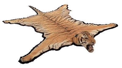 Lot 364 - Taxidermy: Bengal Tiger Skin Rug (Panthera...