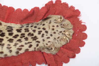 Lot 180 - Taxidermy: Indian Leopard Skin Rug (Panthera...