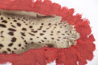 Lot 180 - Taxidermy: Indian Leopard Skin Rug (Panthera...