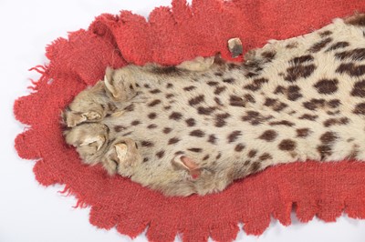 Lot 180 - Taxidermy: Indian Leopard Skin Rug (Panthera...