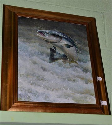 Lot 397 - Framed oil of a leaping salmon signed C Sharpe