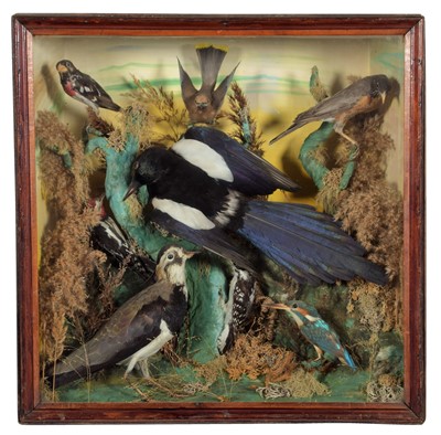 Lot 344 - Taxidermy: A Cased Diorama of Various Birds,...