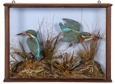 Lot 201 - Taxidermy: A Late Victorian Cased Pair of...