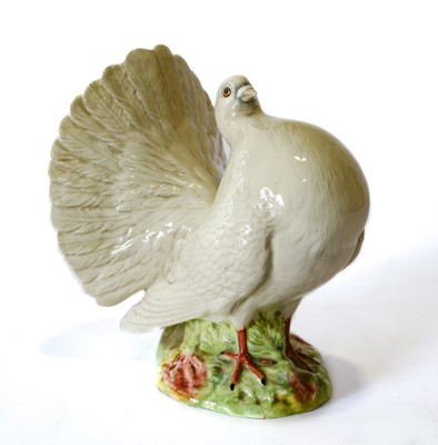 Lot 1146 - Beswick Fantail Pigeon