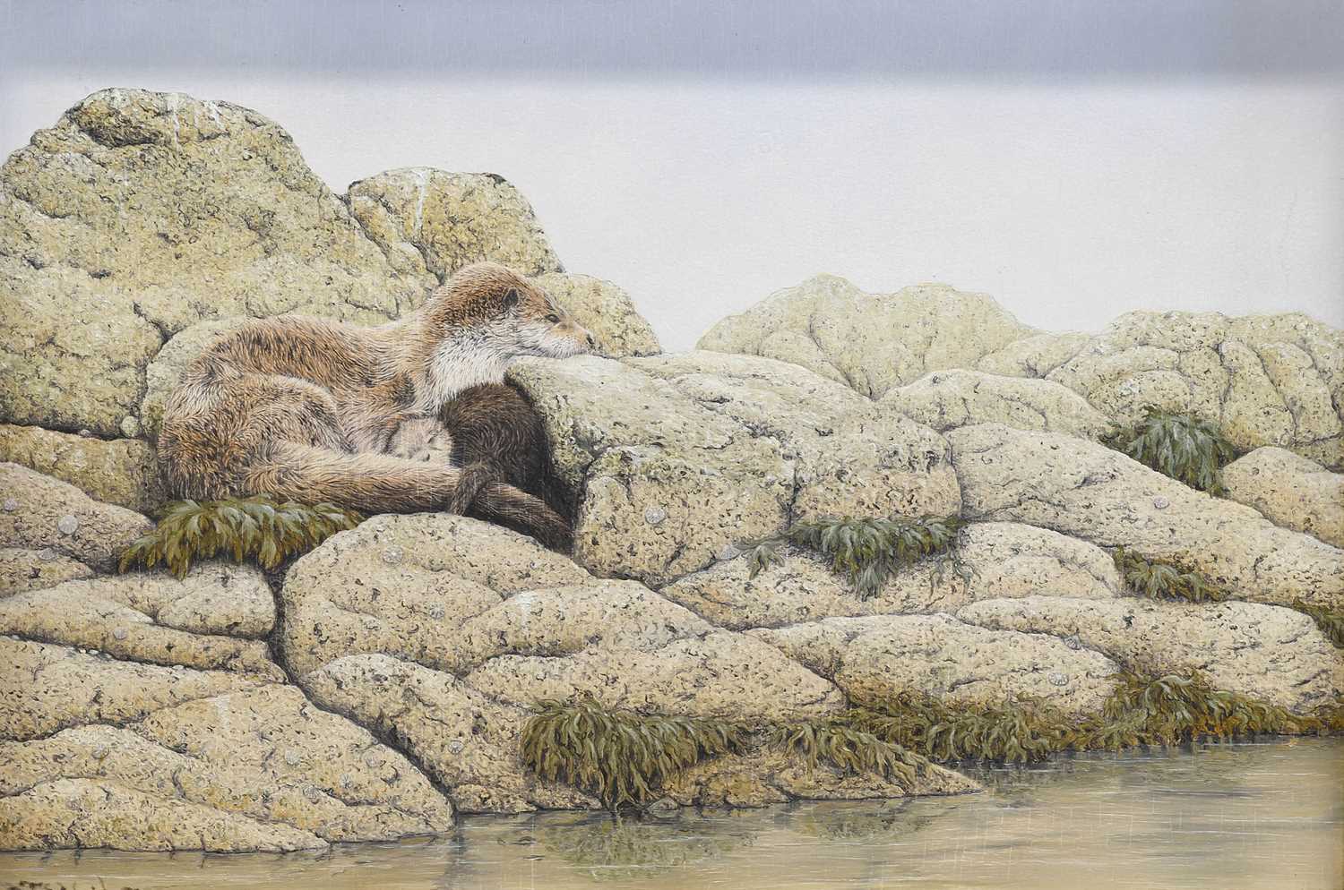 Lot 1060 - Jerry Wade (b.1948) Otters at rest on a rocky...