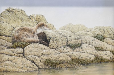 Lot 1060 - Jerry Wade (b.1948) Otters at rest on a rocky...