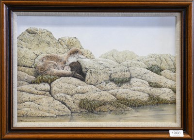 Lot 1060 - Jerry Wade (b.1948) Otters at rest on a rocky...