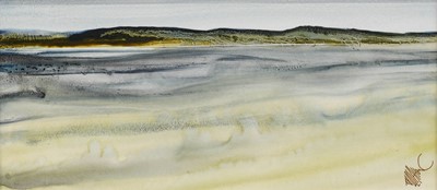 Lot 1059 - Tony Holahan YWS (Contemporary) "Donegal Coast...