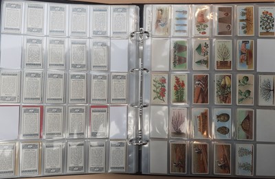 Lot 2094 - Cigarette Cards A Collection Of Assorted Examples