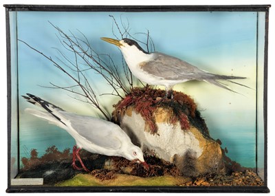 Lot 73 - Taxidermy: A Late Victorian Cased Jameson's...