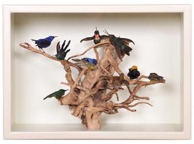 Lot 296 - Taxidermy: A Cased Diorama of Various...