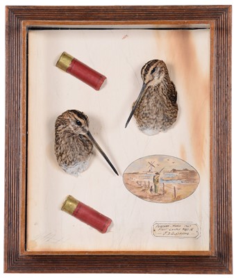 Lot 298 - Taxidermy: A Pair of Wall Cased Common Snipe...