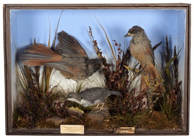 Lot 84 - Taxidermy: A Late Victorian Cased Pair of...