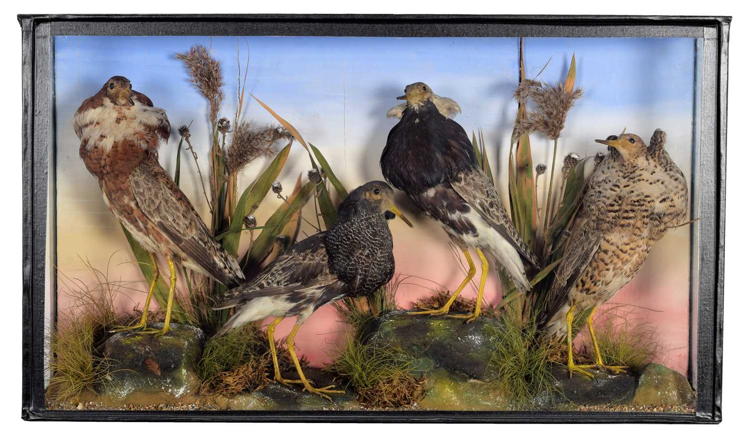 Lot 160 - Taxidermy: A Late Victorian Cased Diorama of...