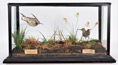 Lot 143 - Taxidermy: A Cased Late Victorian Pair of...