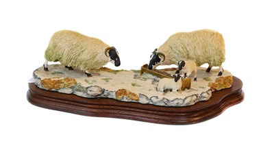 Lot 27 - Border Fine Arts Sheep and Collie models...