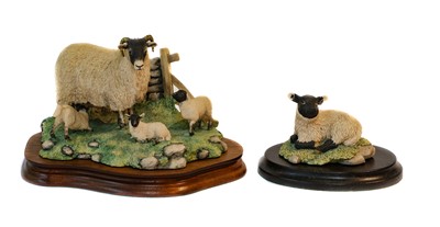 Lot 27 - Border Fine Arts Sheep and Collie models...