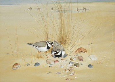 Lot 218 - George Roe (20th century) "Ring Plovers on the...