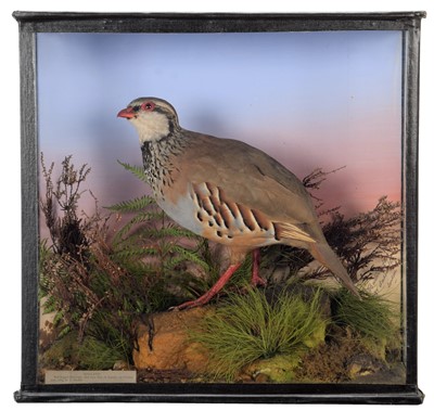 Lot 55 - Taxidermy: A Late Victorian Cased Red-Legged...