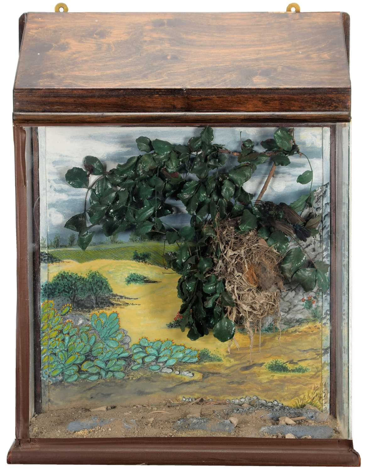 Lot 17 - Taxidermy: A Cased Pair of Palestine Sunbirds...