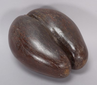 Lot 258 - Natural History: A Coco de Mer Nut (Lodoicea...