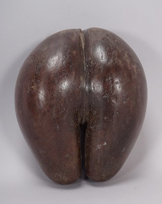 Lot 258 - Natural History: A Coco de Mer Nut (Lodoicea...