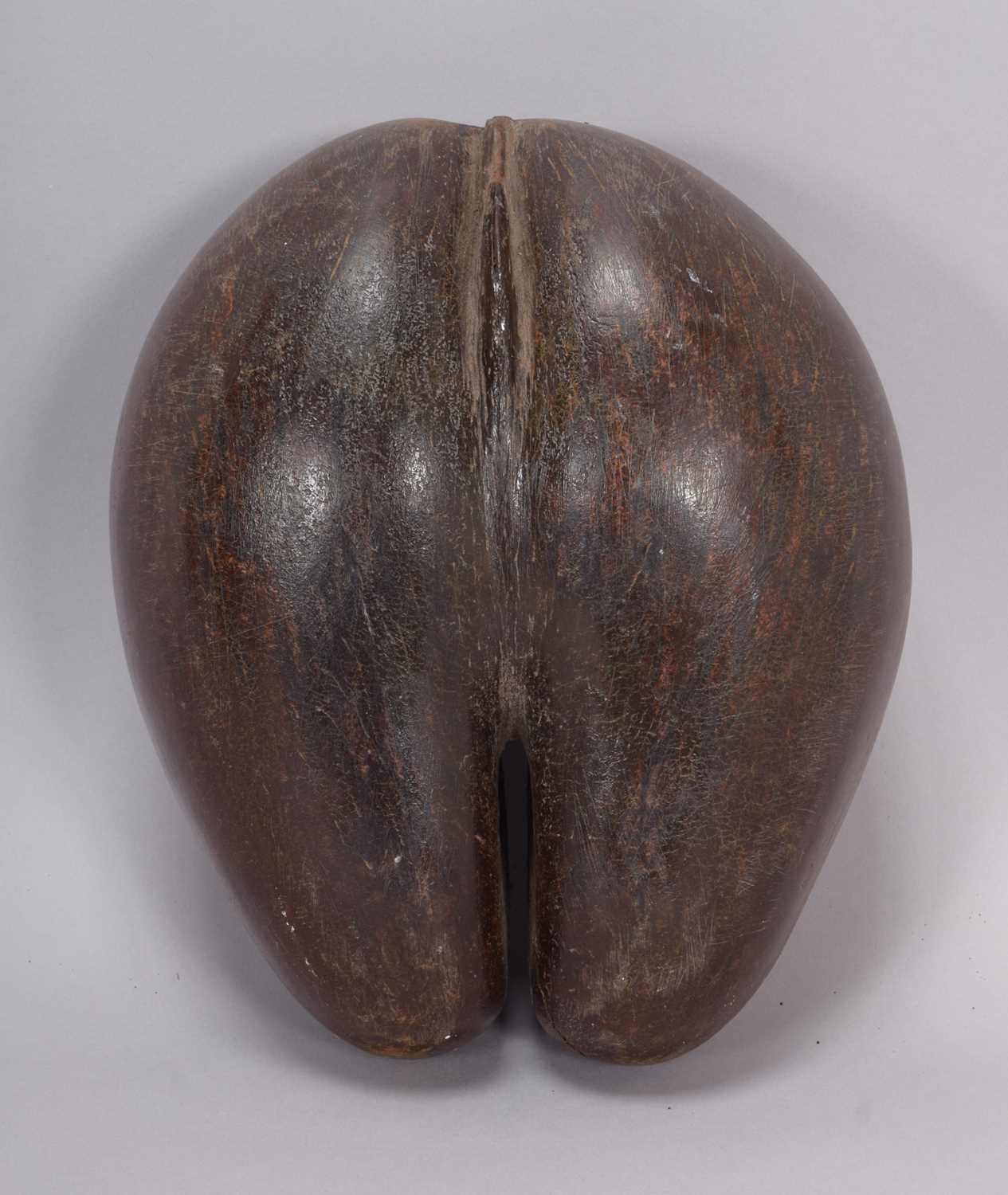 Lot 258 - Natural History: A Coco de Mer Nut (Lodoicea