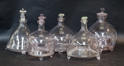 Lot 16 - Five various 19th century glass wasp - fly traps