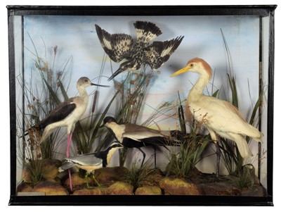 Lot 209 - Taxidermy: A Cased Diorama of Wading & Estuary...
