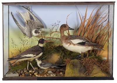 Lot 139 - Taxidermy: A Late Victorian Cased Diorama of...