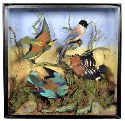 Lot 171 - Taxidermy: A Late Victorian Cased Diorama of...