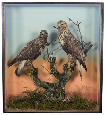 Lot 33 - Taxidermy: A Cased Early 20th Century Pair of...