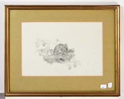 Lot 176 - George Roe (20th century) "Watervole and Marsh...