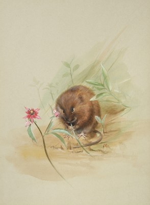 Lot 176 - George Roe (20th century) "Watervole and Marsh...