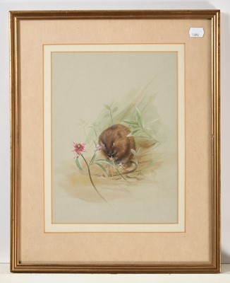 Lot 176 - George Roe (20th century) "Watervole and Marsh...