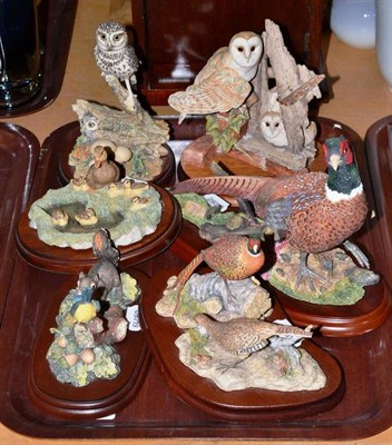Lot 13 - Barn Owl Family', 'Pheasant' (walking) and four other bird groups (6)