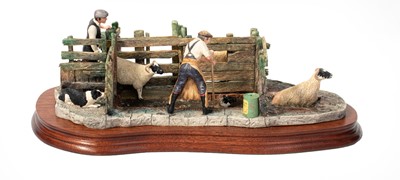 Lot 219 - Border Fine Arts 'Twice Under' (Sheep Dipping)