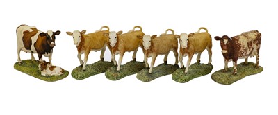 Lot 1095 - Border Fine Arts Cattle Comprising