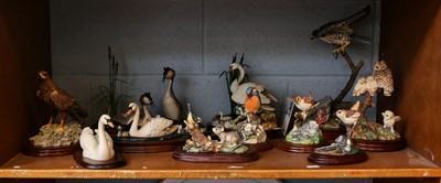 Lot 1170 - Border Fine Arts Bird Models Including:...