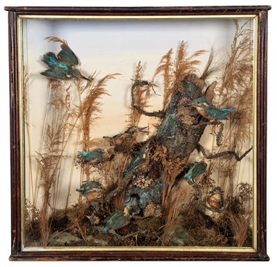 Lot 42 - Taxidermy: A Cased Late Victorian Diorama of...