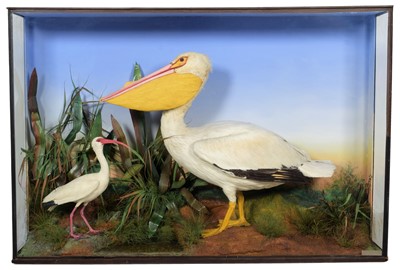 Lot 214 - Taxidermy: An Impressive Large Late Victorian...