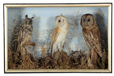 Lot 140 - Taxidermy: A Late Victorian Cased Barn Owl,...