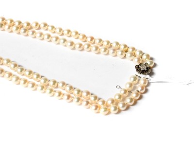 Lot 204 - A two row cultured pearl necklace, knotted to...