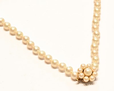 Lot 260 - A single row cultured pearl necklace, knotted...