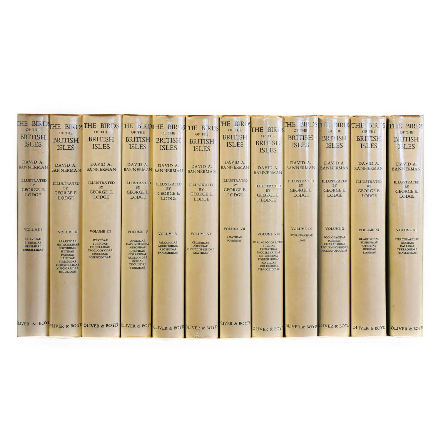 Lot 2141 Bannerman (David Armitage) and Lodge