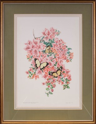 Lot 486 - Barbara Jeppe (1921-1999) South African...