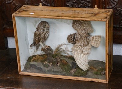 Lot 1276 - Taxidermy: A Late Victorian Cased Pair of...