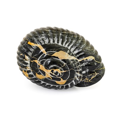 Lot 1110 - Darren Yeadon (b.1970) Ammonite Signed,...