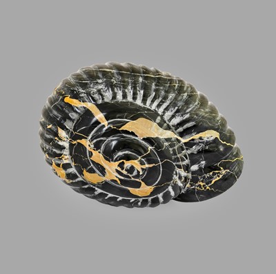 Lot 1110 - Darren Yeadon (b.1970) Ammonite Signed,...