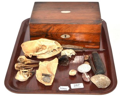 Lot 287 - Sculls, minerals, fossils, pocket knives, pipes, pocket watch, etc